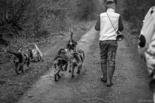 Départ avec ses chiens